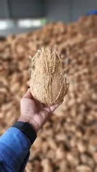Fresh Coconut