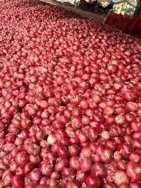 Red Onion