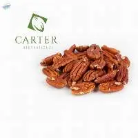 Pecan Kenrel Fancy Mammoth - Carter Usa