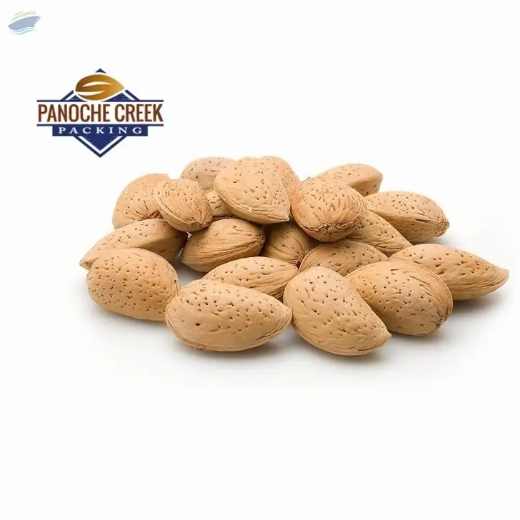 Almond Inshell Npis - Panochee Usa