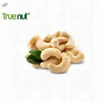 Cashew Kernels WW180 - TRUENUT VIETNAM