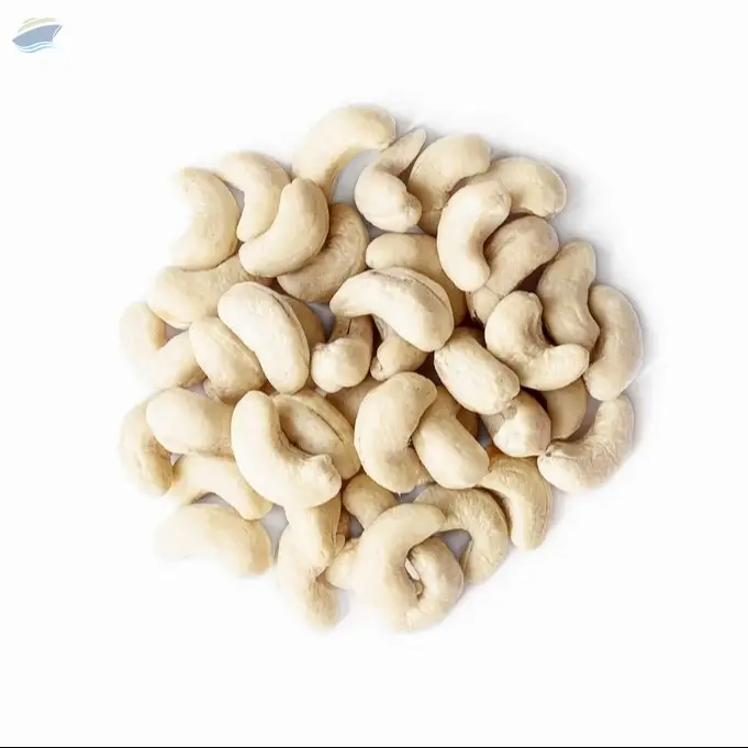 Cashew WW320 Vietnam