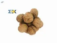 WALNUT INSHELL Momex - Premium New Crop