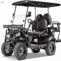 4 Seaters Electric Golf Cart with DOT CE
