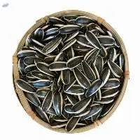 Organic Sunflower Seeds For Human Consumption