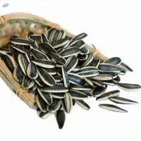 Wholesale Sunflower Seed