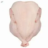 Best Quality Healthy And Natural Whole Chicken