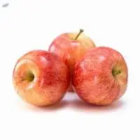Premium Quality Red Apple fresh fuji apple