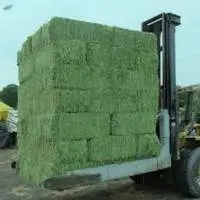 Timothy Alfalfa Hay Pellets in Bulk for sale
