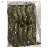 Frozen Farmed Vannamei Shrimp
