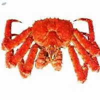 Frozen Quality King Crabs Snow Crab