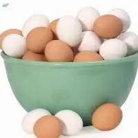 Chicken Eggs At Best Wholesale