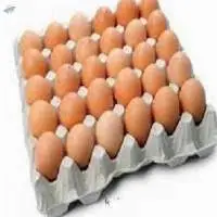 Brown Table Eggs Chicken Eggs