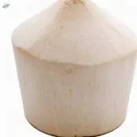 High Quality Fresh Dehusked Coconuts