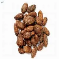 High Quality Cocoa Beans