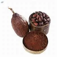 Dried Raw Cocoa Beans