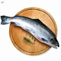 Fresh And Frozen Atlantic Salmon Fish