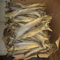 High Quality Dried Stockfish  