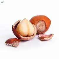 Dried Organic Hazelnuts  