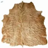 Quality Raw Wet Salted Cow Hides