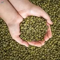 Full-bodied Arabica Green Coffee Beans