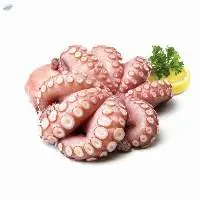 Frozen Octopus All Sizes Sale