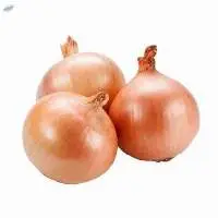 Fresh Yellow Onion  