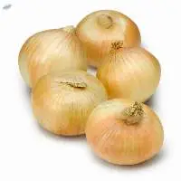 Premium Quality Yellow Onion