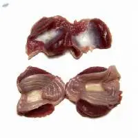 Top Quality Halal Frozen Chicken Gizzard