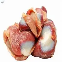 Quality Halal Frozen Chicken Gizzard