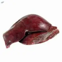 Cheap Price Frozen Cow Liver