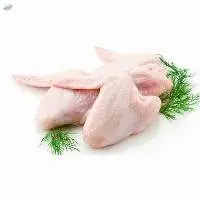 Turkey Halal Frozen Chicken Joint Wings