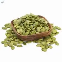 Premium Quality Sale Pumpkin Seed