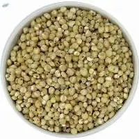 High Quality Non Gmo Sorghum