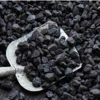 High Quality Product Steam Coal