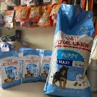 Royal Canin Food
