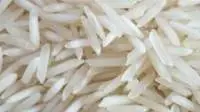 1401 Steam Rice