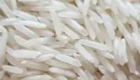 Sugandha Raw Rice