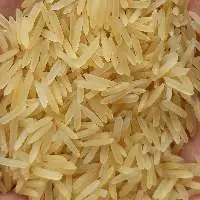 PR 11/14 Golden Sella Rice