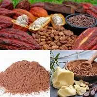 Cocoa