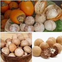 Betel Nut