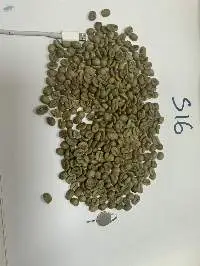 Green Arabica Coffee