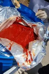 Aseptic Tomato Paste