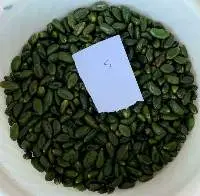 Peeled Pistachio Kernels