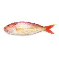 Threadfin bream