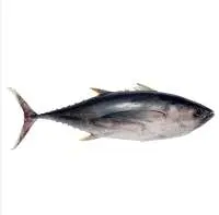 Tuna