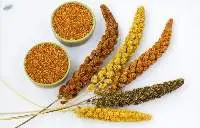 Millets