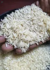1121 Steam Basmati Rice