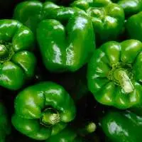 Capsicum