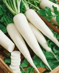 Radish